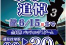 【バッティング増球】ありがとうミスター追悼【6/15まで】